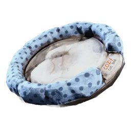 Cat Bed