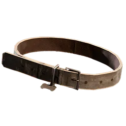 Dog Collar